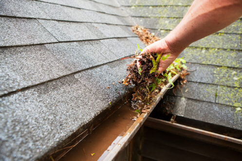 Drain Maintenance in Milwaukie, OR