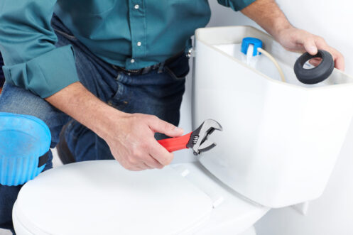Toilet Repair in Milwaukie, OR