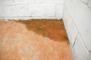 Leak Detection in Portland, OR