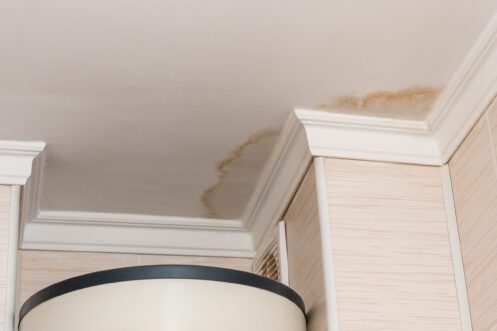 Ceiling Leak Repair in Portland, OR