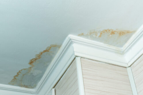 Ceiling Leak Repair in Portland, OR