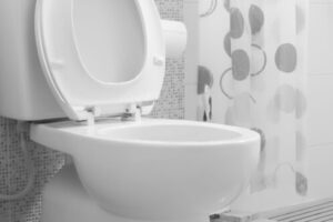 Toilet Services in Portland, OR