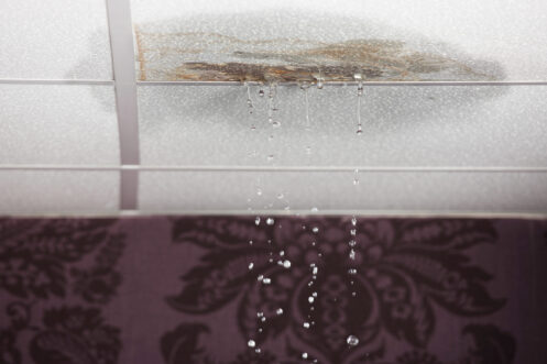 Water Damage Repair in Portland, OR