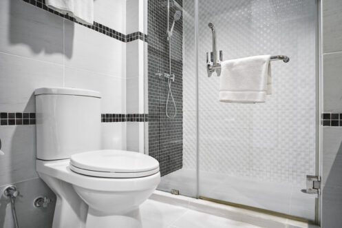Toilet Repair in Portland, OR
