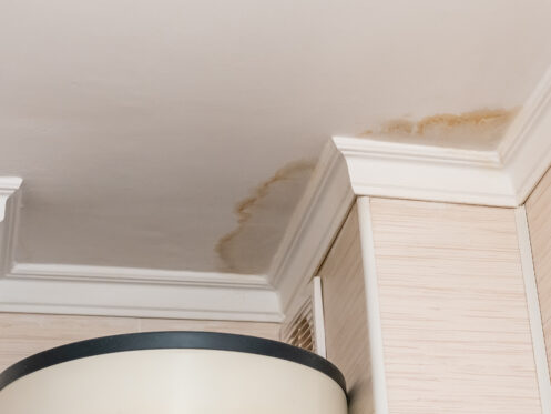 Ceiling Leak Repair in Portland, OR