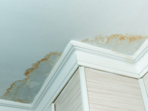 Ceiling Leak Repair in Portland, OR