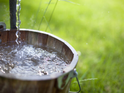 Spring Plumbing in Portland, OR