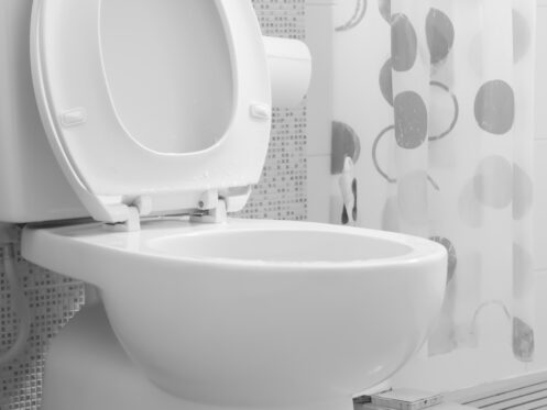 Toilet Repair in Milwaukie, OR