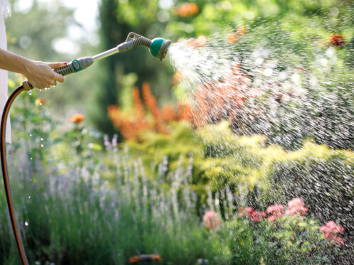 Garden Water Conservation in Portland, OR